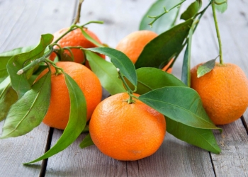Uleiul esential de mandarina