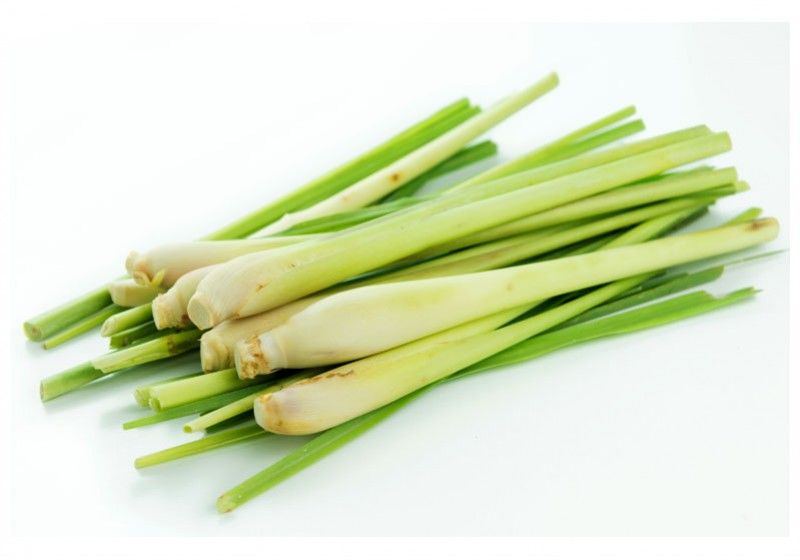 Lemongrass