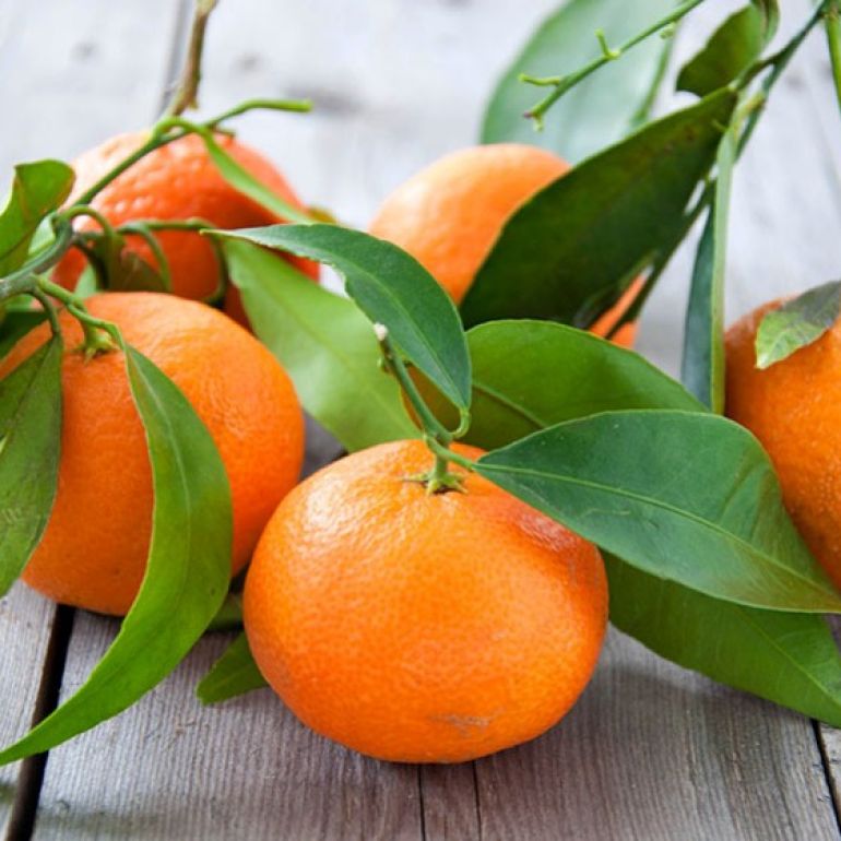 Uleiul esential de mandarina