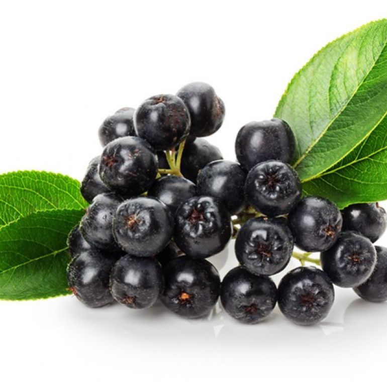 Pulberea de aronia