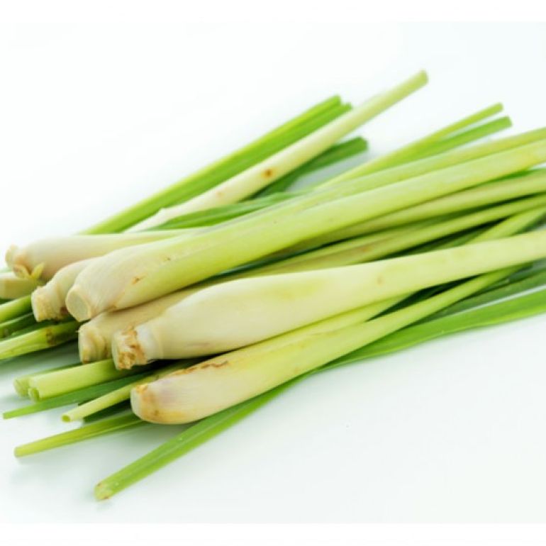 Lemongrass