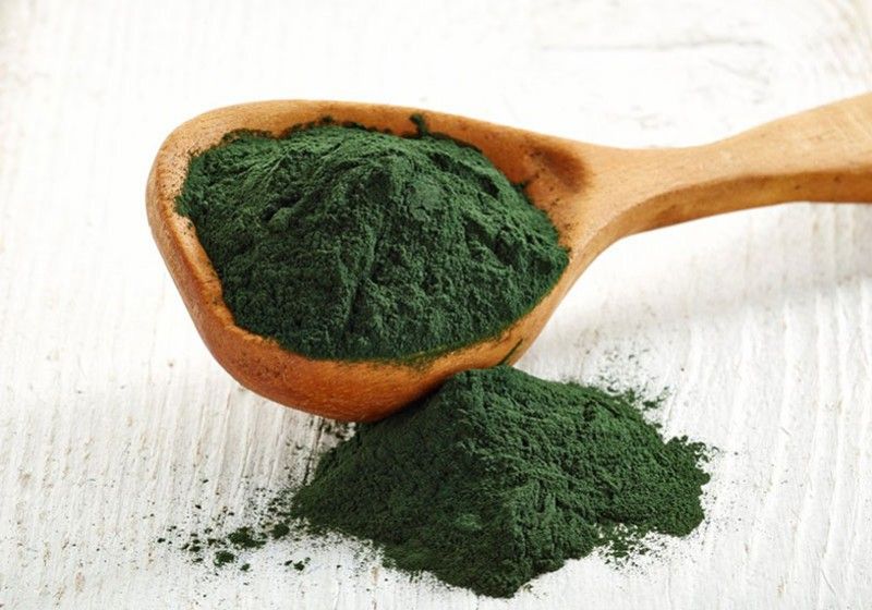 CHLORELLA