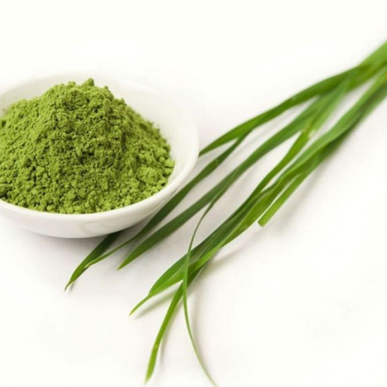 ORZUL VERDE