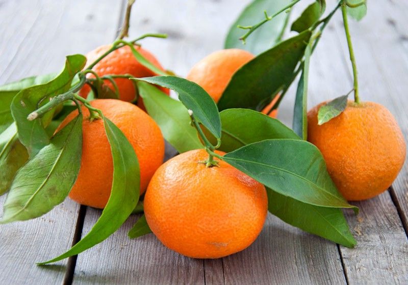 Uleiul esential de mandarina