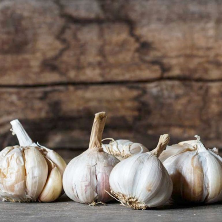 Un remediu natural folosit încâ din antichitate - usturoiul