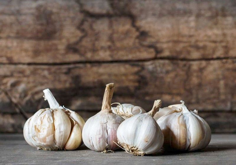 Un remediu natural folosit încâ din antichitate - usturoiul