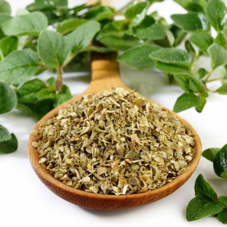 Oregano