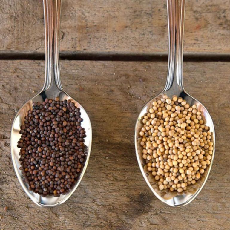Muştarul brun, un condiment cu origini mediteraneene