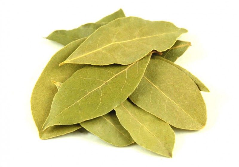 Dafinul - una dintre cele mai vechi plante aromatice din lume