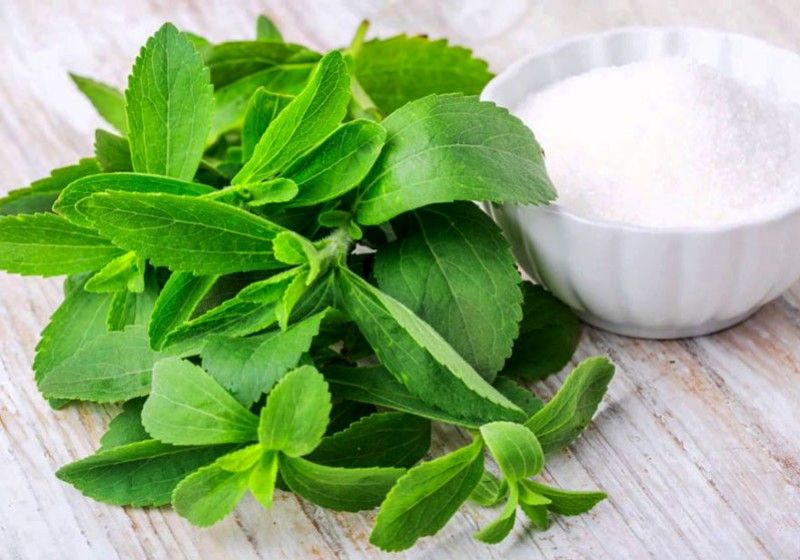 Stevia rebaudiana -un indulcitor natural