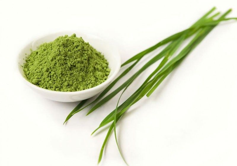 ORZUL VERDE