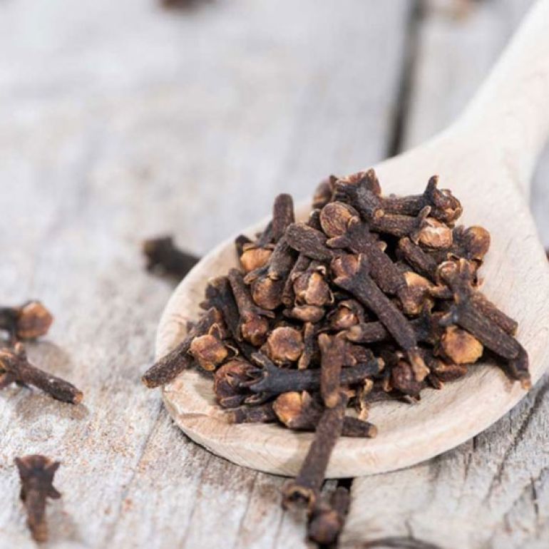 Proprietatile extraordinare ale cuisoarelor